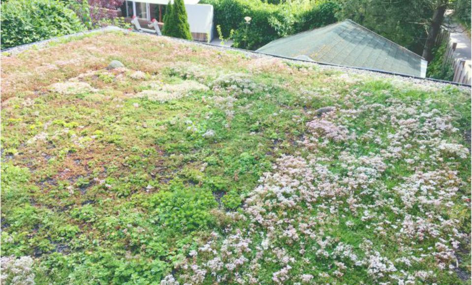 Alucarport mit Dachbegrünung Alucarport mit Gründach