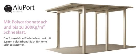 Das SHG mit 300Kg/m&sup2; Schneelast